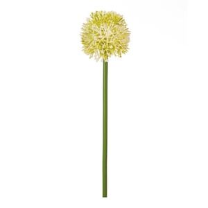 Artificial Sun Allium Ball‎ Pick Flower Stem 20"H- Box of 4
